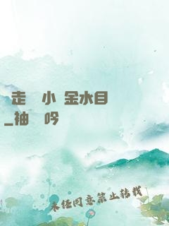 邊走邊愛小說金水目錄