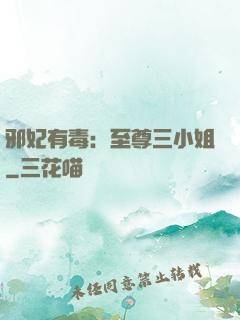 邪妃有毒：至尊三小姐