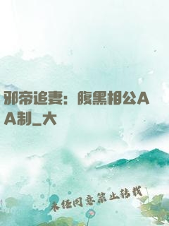 邪帝追妻：腹黑相公AA制