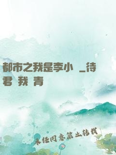 都市之我是李小龍