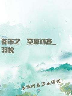 都市之無敵至尊奶爸