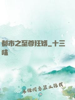 都市之至尊狂婿