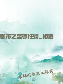 都市之至尊狂婿
