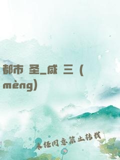 都市盜圣