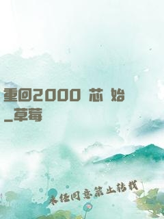 重回2000從芯開始