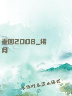 重回2008