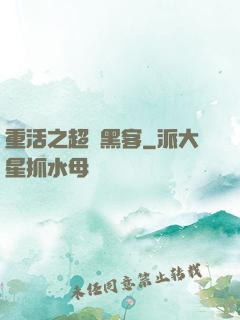 重活之超級黑客