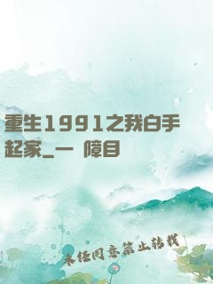 重生1991之我白手起家