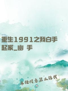 重生1991之我白手起家