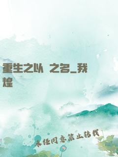 重生之以國之名
