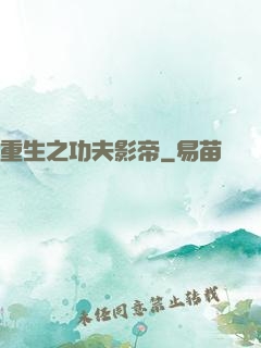 重生之功夫影帝
