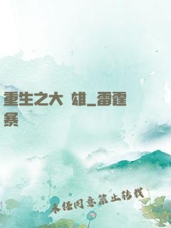 重生之大梟雄