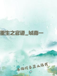 重生之官道