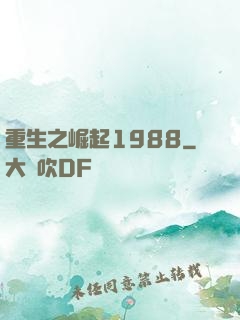 重生之崛起1988