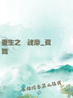 重生之無雙魂帝