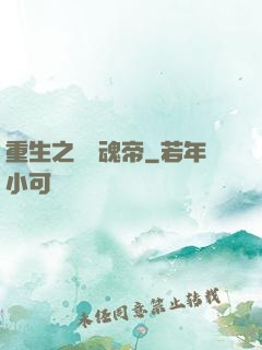 重生之無雙魂帝