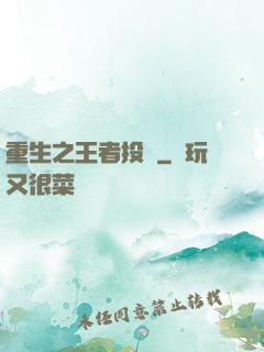 重生之王者投資
