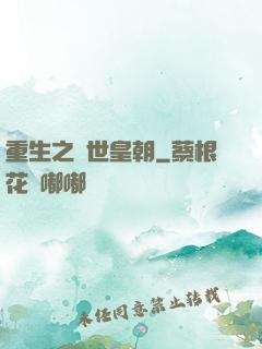 重生之異世皇朝