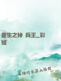 重生之神極兵王