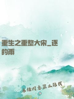 重生之重整大宋