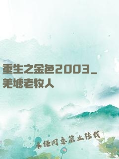 重生之金色2003