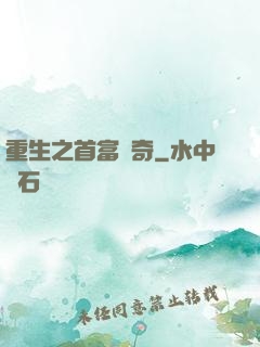 重生之首富傳奇