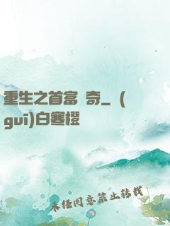 重生之首富傳奇