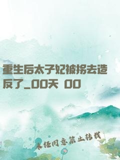 重生后太子妃被拐去造反了