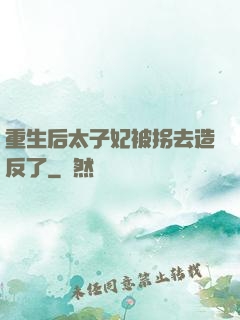重生后太子妃被拐去造反了