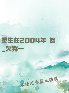重生在2004年開始