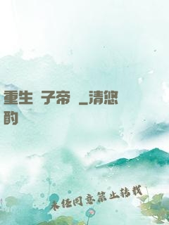 重生電子帝國