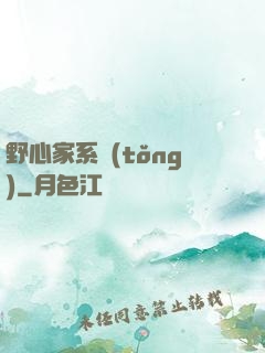 野心家系統(tǒng)