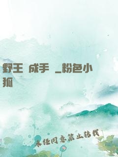野王煉成手冊