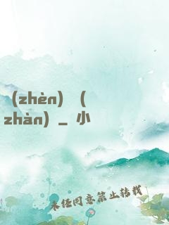 鎮(zhèn)國戰(zhàn)龍