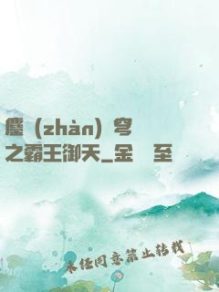 鏖戰(zhàn)蒼穹之霸王御天