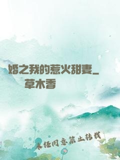 閃婚之我的惹火甜妻
