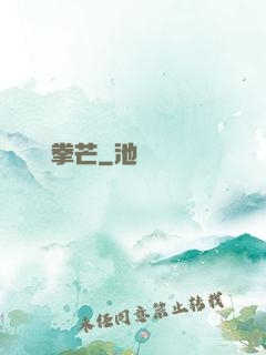 閃爍拳芒