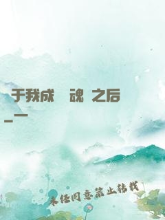 關于我成為滅魂師之后