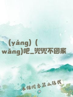 陰陽(yáng)網(wǎng)吧