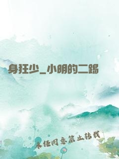 隱身狂少