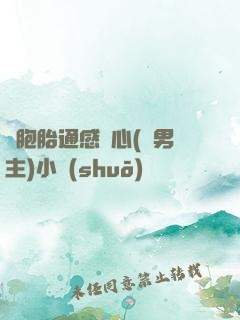 雙胞胎通感夾心(雙男主)小說(shuō)