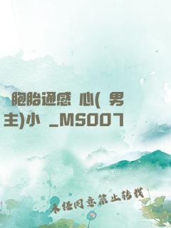 雙胞胎通感夾心(雙男主)小說