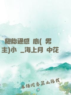 雙胞胎通感夾心(雙男主)小說
