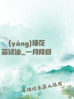 雙陽(yáng)插花芯修仙