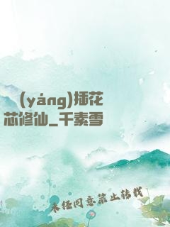 雙陽(yáng)插花芯修仙