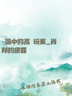 電弧中的高級玩家