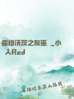霍格沃茨之灰巫師