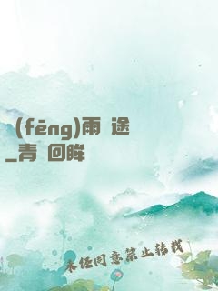 風(fēng)雨歸途