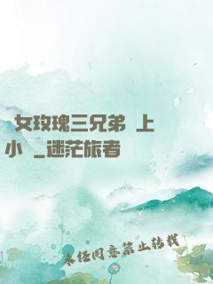 養女玫瑰三兄弟齊上陣小說