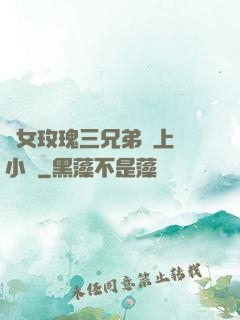 養女玫瑰三兄弟齊上陣小說